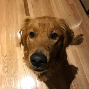 Meet your Posher, Silke